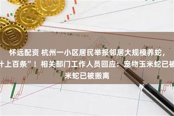 怀远配资 杭州一小区居民举报邻居大规模养蛇，“估计上百条”！相关部门工作人员回应：宠物玉米蛇已被搬离